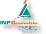 ensieg